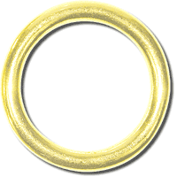Bronze O-Ring