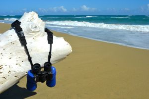 Binocular Padded Neck Holder