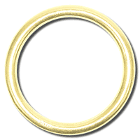 Bronze O-Ring