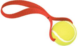 Tennis Ball Toy