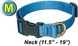 Medium Dog Collar 11.5" - 19"