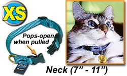 Safety Cat Collar