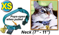 Safety Cat Collar w/Bell
