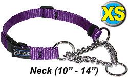 XS Chain Martingale Dog Collar
