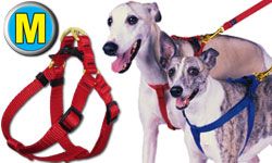 Medium Step-In Pet / Dog Harness