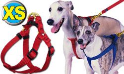 XS Step-In Pet / Dog Harness