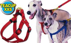 Teacup Step-In Pet / Dog Harness