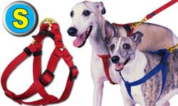 Small Step-In Pet / Dog Harness